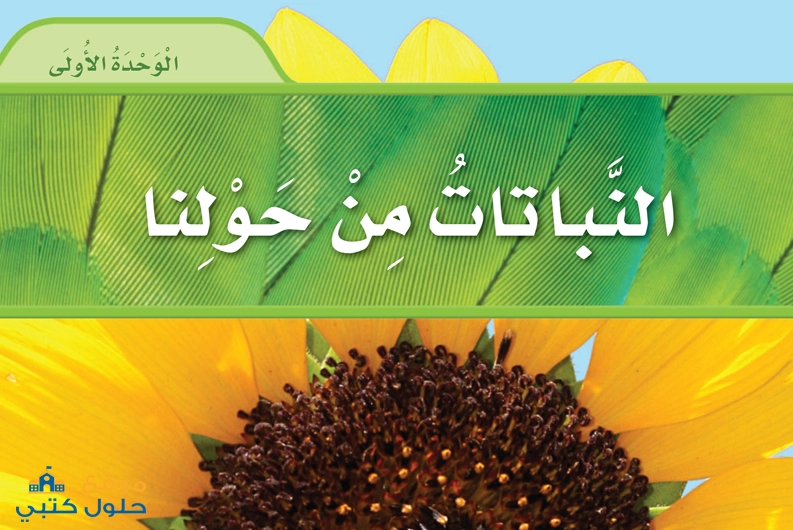 الوحدة الأولى وحدة النباتات من حولنا علوم أول ابتدائي ف1