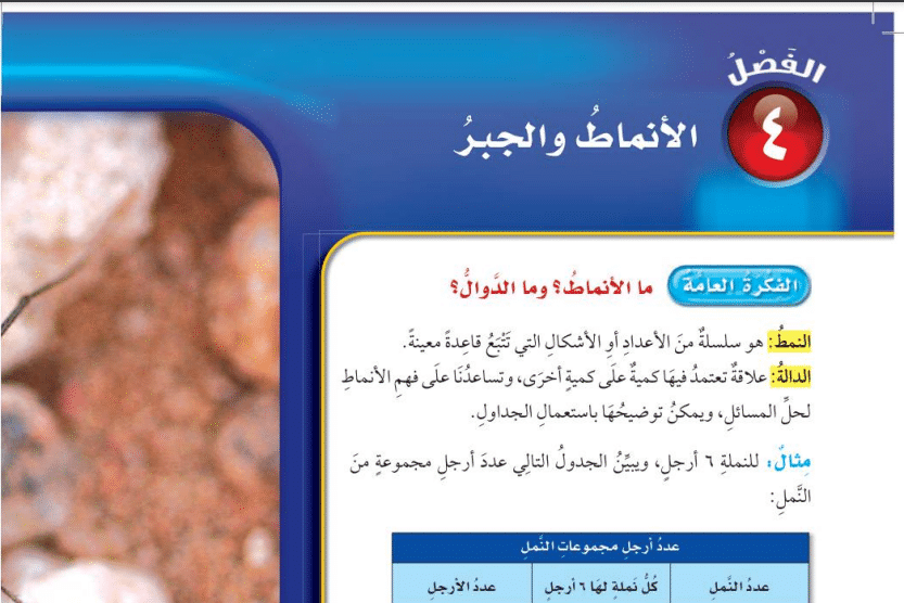 حل فصل الأنماط والجبر رياضيات رابع ابتدائي ف1