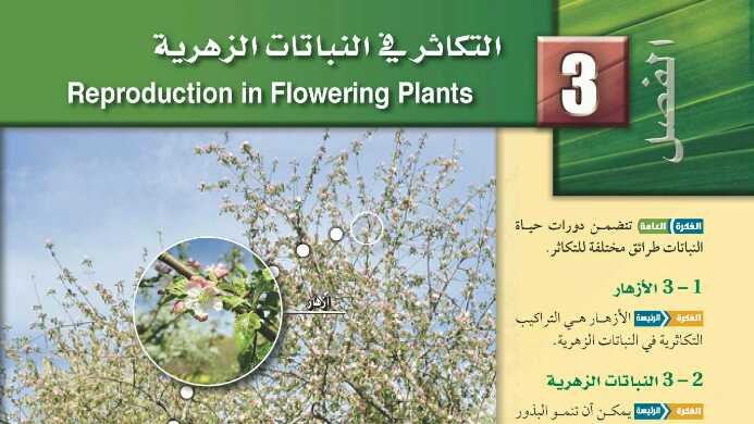 حل التكاثر في النباتات الزهرية مادة الأحياء ثالث ثانوي