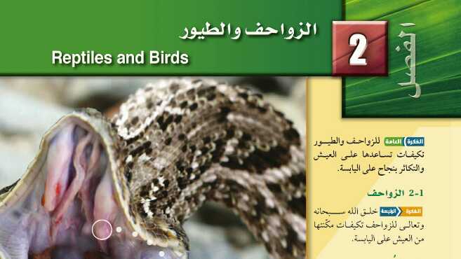 حل الزواحف والطيور مادة الأحياء 2 ثاني ثانوي