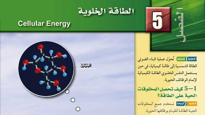 حل الطاقة الخلوية مادة الأحياء ثالث ثانوي