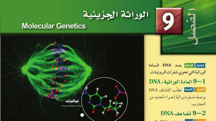 حل الوراثة الجزيئية مادة الأحياء ثالث ثانوي