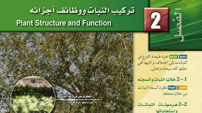 حل تركيب النبات وظائف اجزائه مادة الأحياء ثالث ثانوي