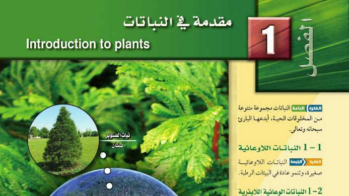 حل مقدمة في النباتات مادة الأحياء ثالث ثانوي