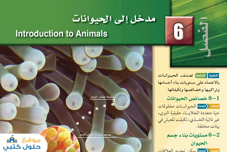 حل فصل مدخل إلى الحيوانات أول ثانوي مادة الاحياء 1 مسارات