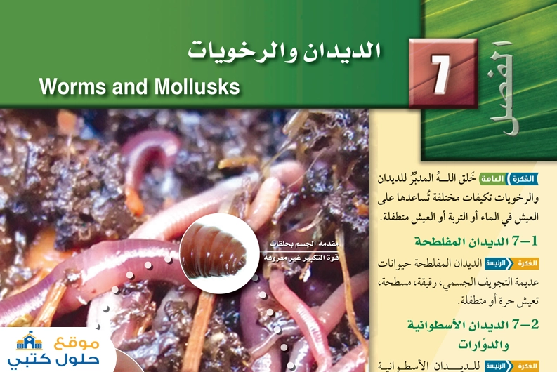 حل فصل الديدان والرخويات أول ثانوي مادة الأحياء 1 مسارات