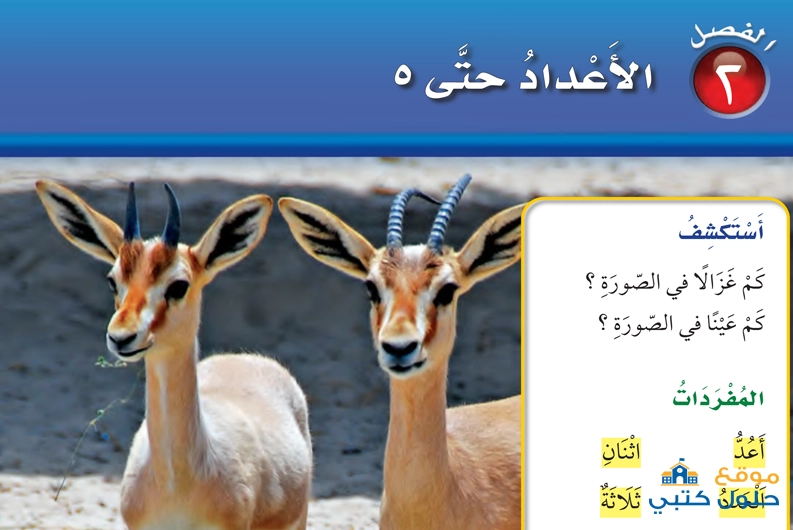 حل فصل الأعداد حتى 5 أول إبتدائي رياضيات ف1