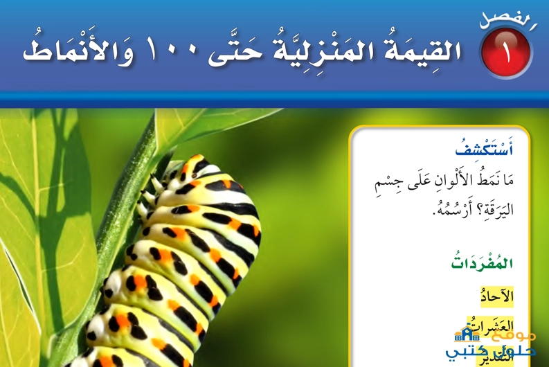 حل رياضات فصل القيمة المنزلية حتى 1000 والانماط الفصل الأول