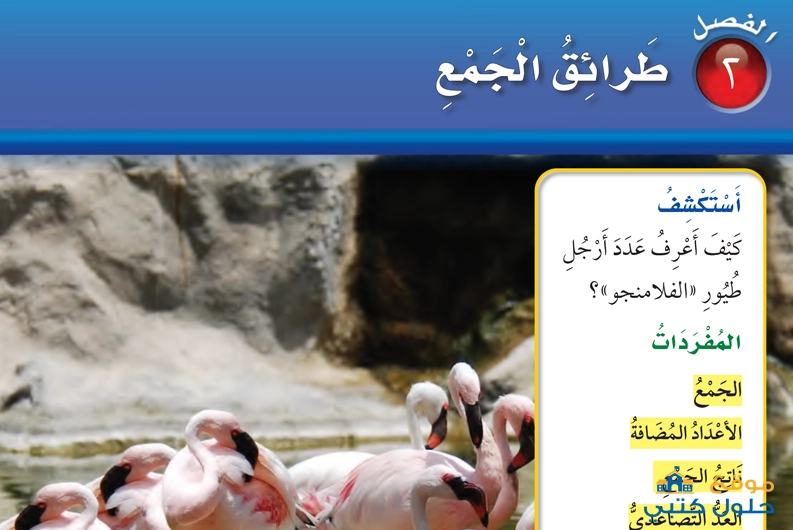 حل فصل طرائق الجمع ف1 مادة الرياضيات ثاني إبتدائي