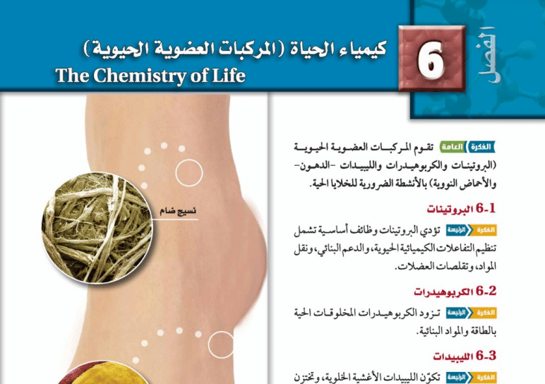 حل الفصل السادس المركبات العضوية كيمياء 4