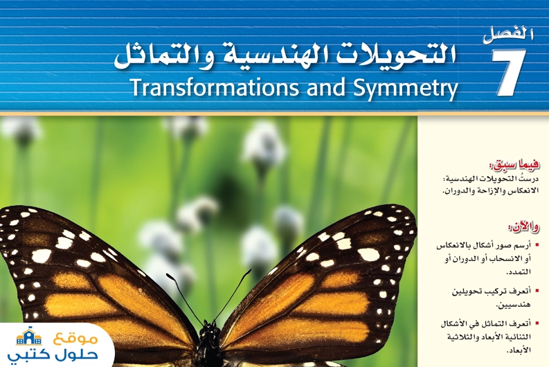 الفصل السابع التحويلات الهندسية والتماثل