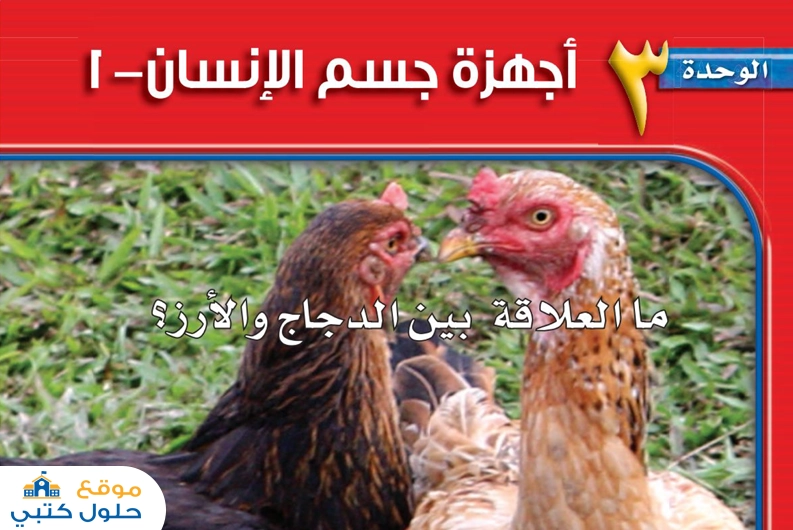 حل الوحدة الثالثة أجهزة جسم الإنسان علوم ثاني متوسط الفصل الدراسي الأول
