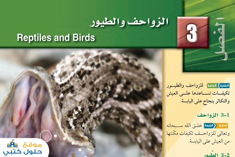 حل الفصل الثالث الزواحف والطيور مادة الأحياء 2-1 السنة الثانية
