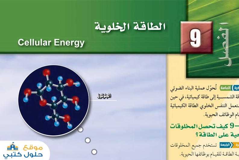 حل فصل الطاقة الخلوية مادة الأحياء 2-1 مسارات ثاني ثانوي