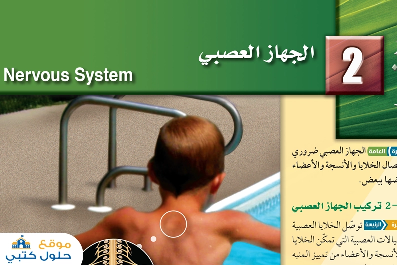 الفصل الثاني الجهاز العصبي مادة أحياء 2 ثاني ثانوي