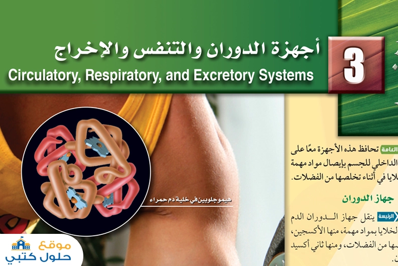 حل الفصل الثالث أجهزة الدوران والتنفس والإخراج أحياء 2 مسارات