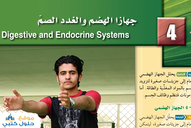 حل أحياء 2 الفصل الرابع جهازا الهضم والغدد الصم مسارات