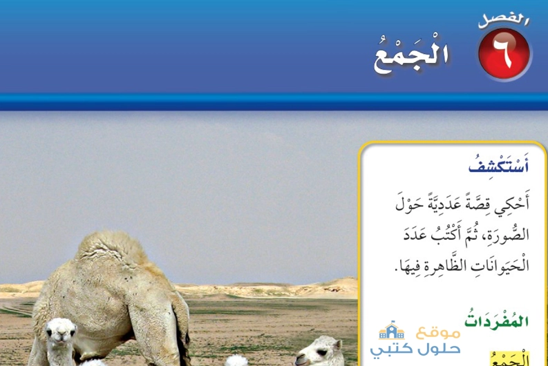 حل الفصل السادس الجمع مادة الرياضيات أول ابتدائي الفصل الدراسي الاول