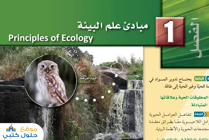 حل الفصل الأول مبادئ علم البيئة أول ثانوي السنة المشتركة ف2 مسارات