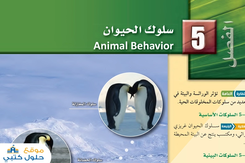 الفصل الخامس سلوك الحيوان أول ثانوي مادة علم البيئة ف2