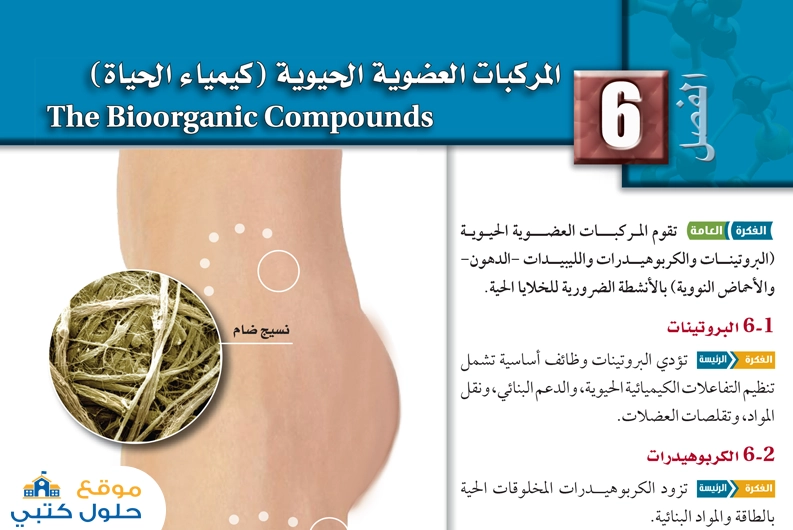 حل الفصل 6 كيمياء الحياة ( المركبات العضوية الحيوية )
